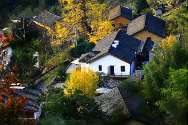 1657462045179079.png image.png